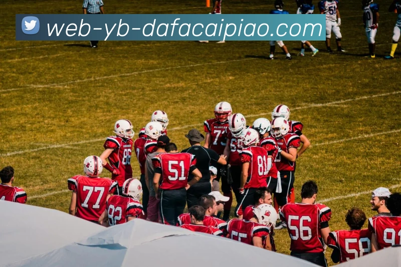 大发彩票发展历程