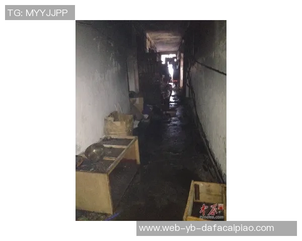 维尼修斯家中火灾调查揭示地下室桑拿房成起火源头